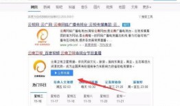 爆料云南卫视直播视频,揭秘幕后真相